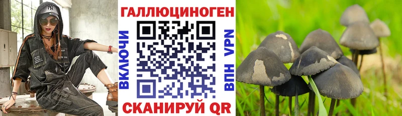 Псилоцибиновые грибы GOLDEN TEACHER  Приозерск 